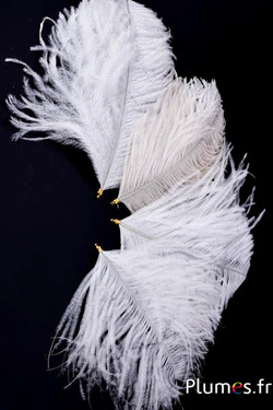 Ciondolo testa di struzzo - 17-20 cm - bianco-crema